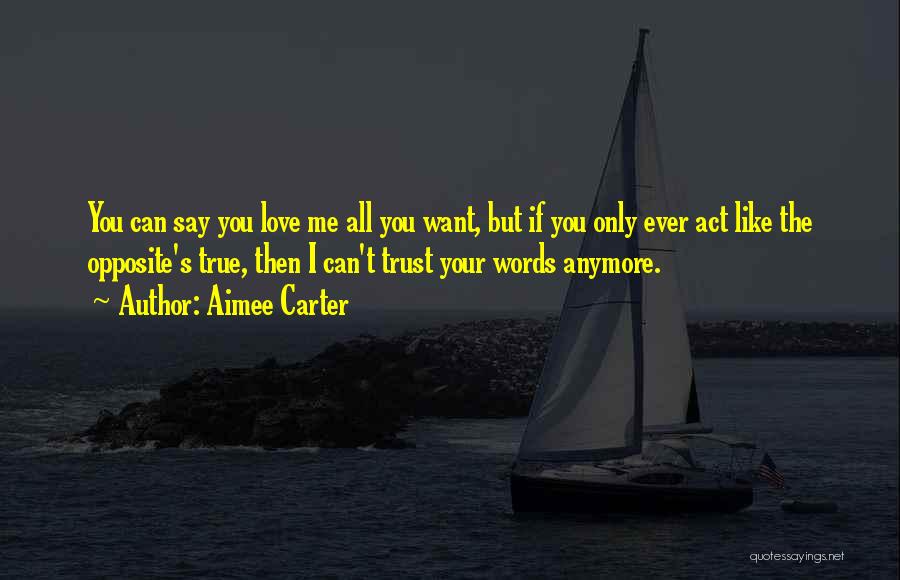 The Words I Love You Quotes By Aimee Carter