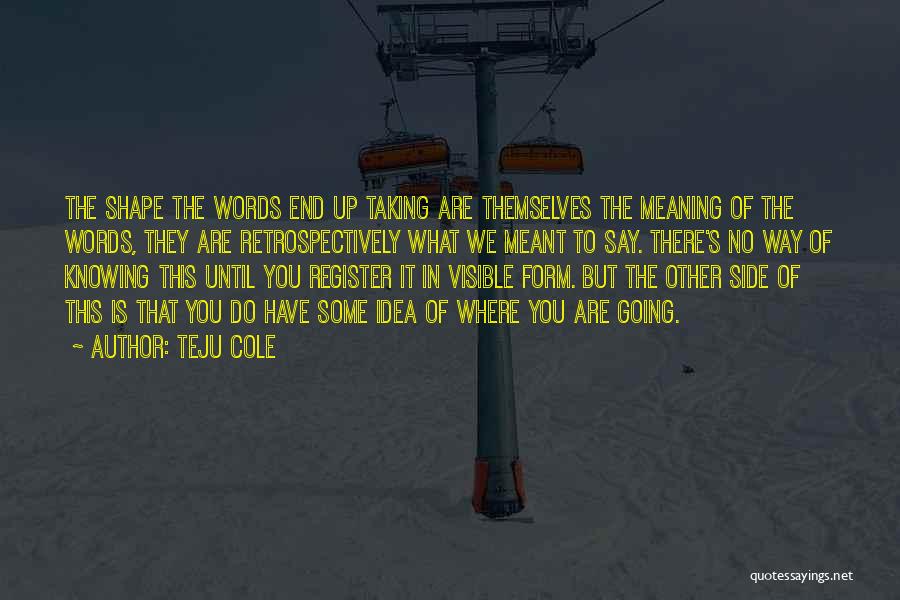 The Words You Say Quotes By Teju Cole