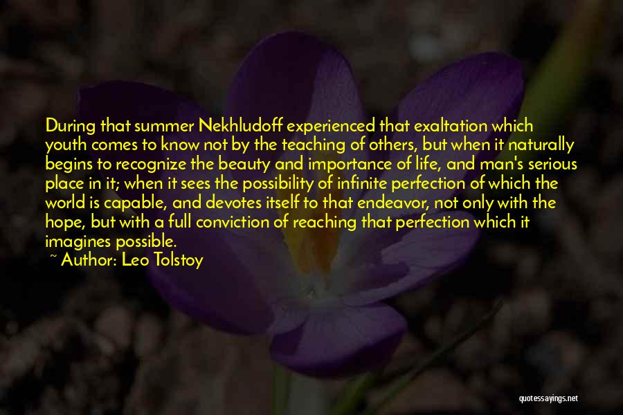 The World And Beauty Quotes By Leo Tolstoy