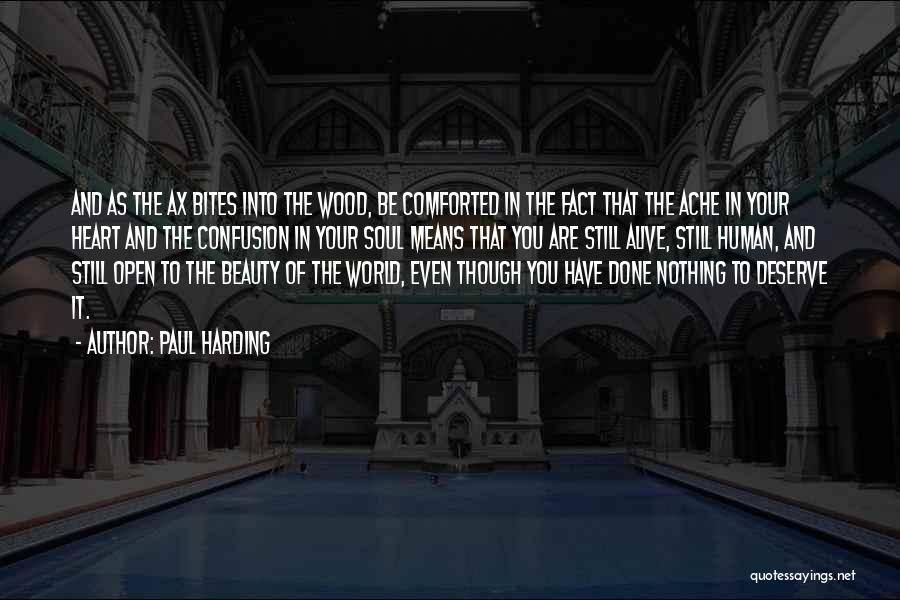 The World And Beauty Quotes By Paul Harding