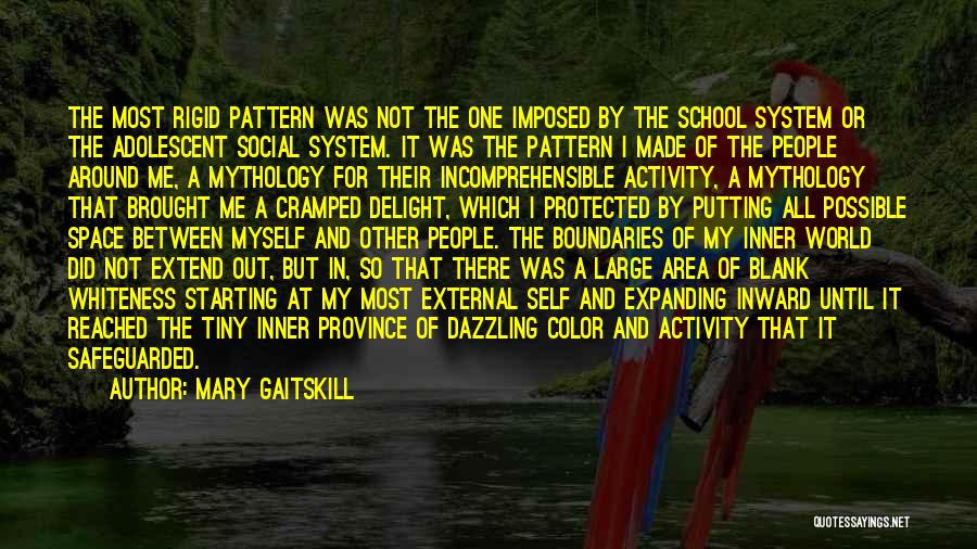 The World And Color Quotes By Mary Gaitskill