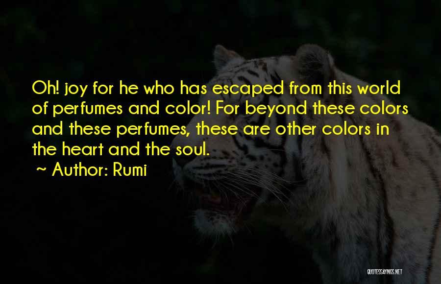 The World And Color Quotes By Rumi