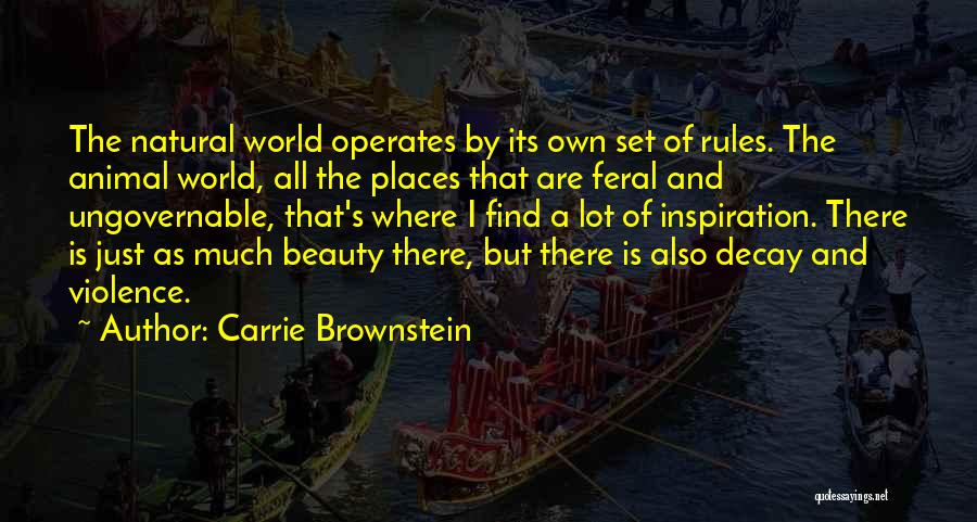 The World And Its Beauty Quotes By Carrie Brownstein