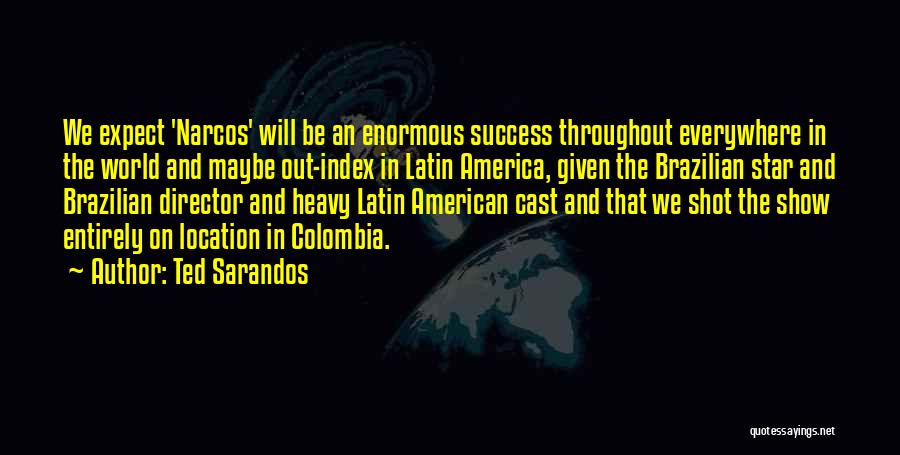 The World And Success Quotes By Ted Sarandos