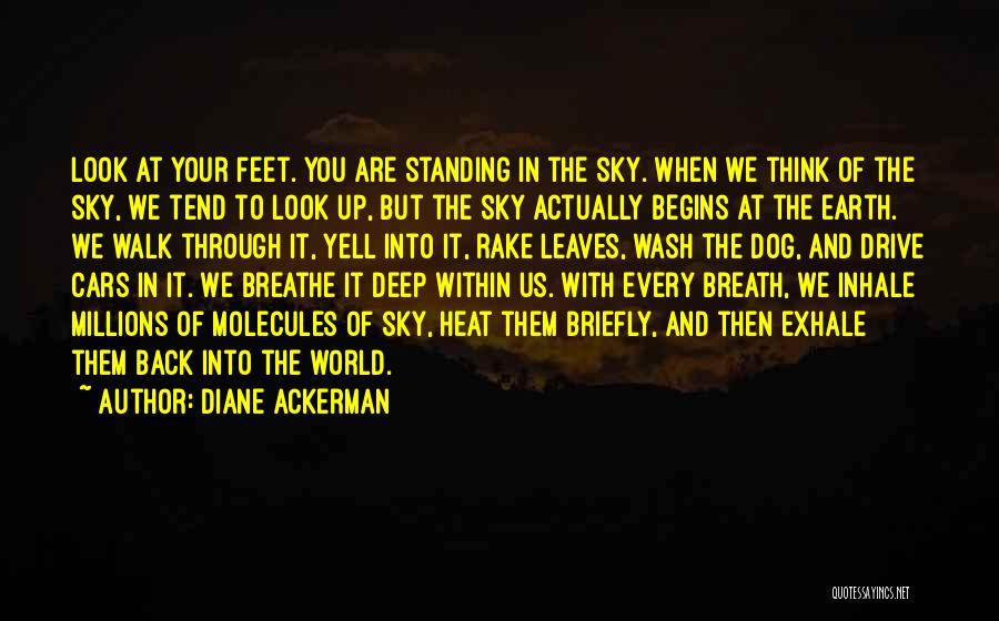 The World At Your Feet Quotes By Diane Ackerman