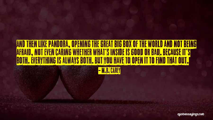 The World Being Big Quotes By M.R. Carey The World Being Big Quotes By M.R. Carey