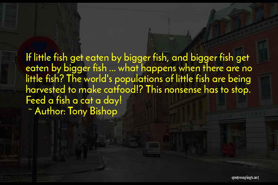 The World Being Bigger Than You Quotes By Tony Bishop