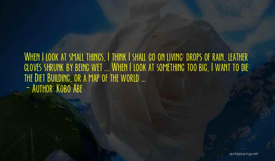 The World Being Small Quotes By Kobo Abe