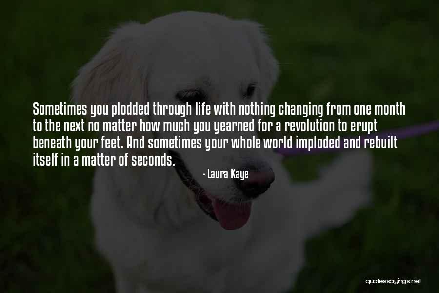 The World Changing You Quotes By Laura Kaye