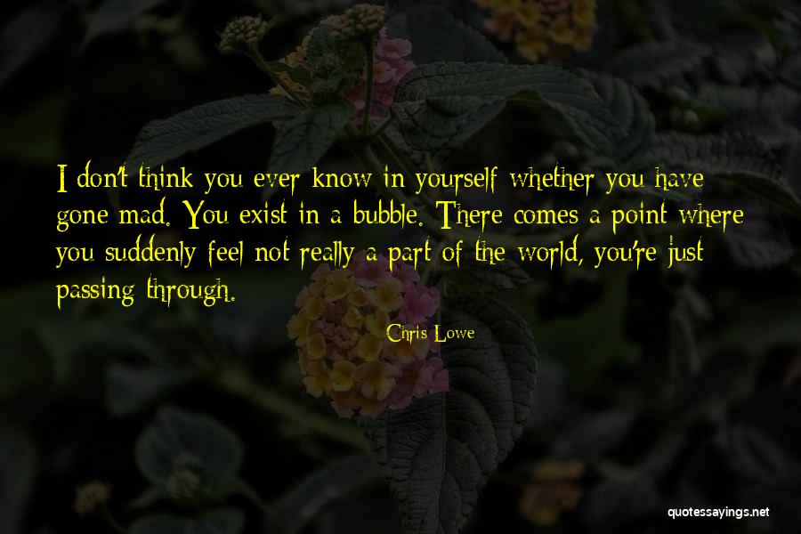 The World Gone Mad Quotes By Chris Lowe The World Gone Mad Quotes By Chris Lowe