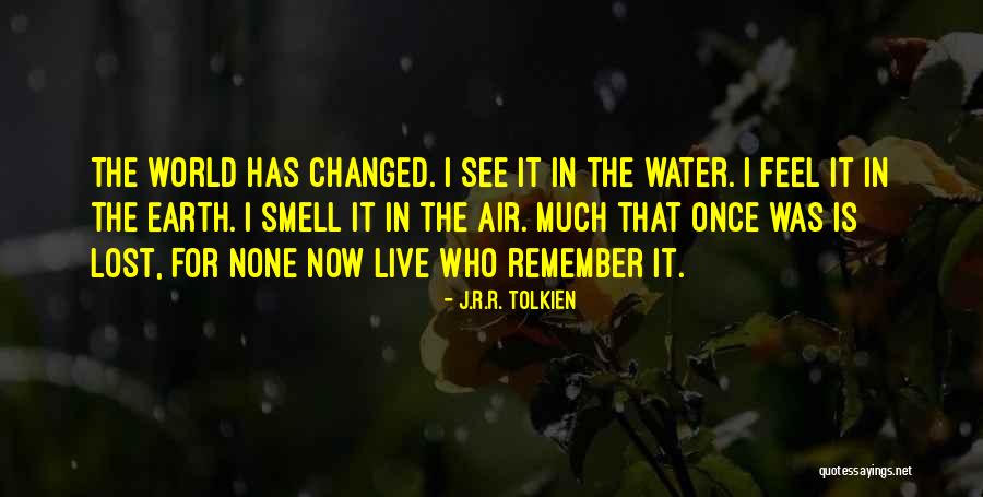 The World Has Changed Quotes By J.R.R. Tolkien