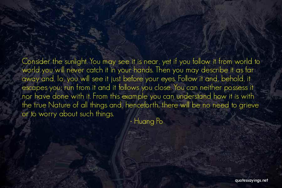 The World In Your Hands Quotes By Huang Po