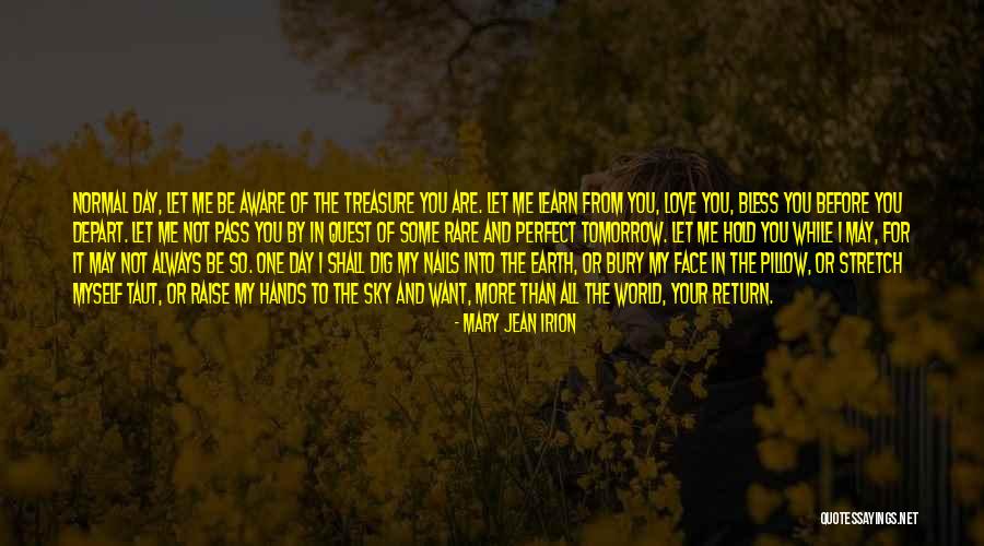 The World In Your Hands Quotes By Mary Jean Irion