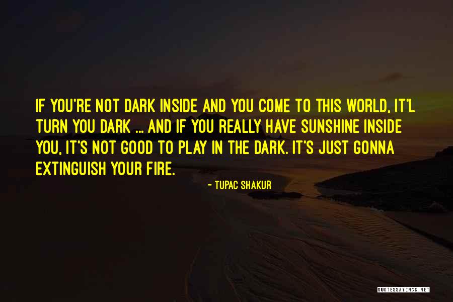 The World Inside You Quotes By Tupac Shakur