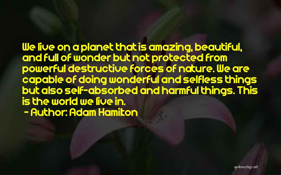 The World Is Full Of Beautiful Things Quotes By Adam Hamilton