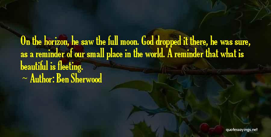 The World Is Full Of Beautiful Things Quotes By Ben Sherwood