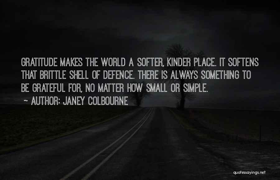 The World Is Such A Small Place Quotes By Janey Colbourne