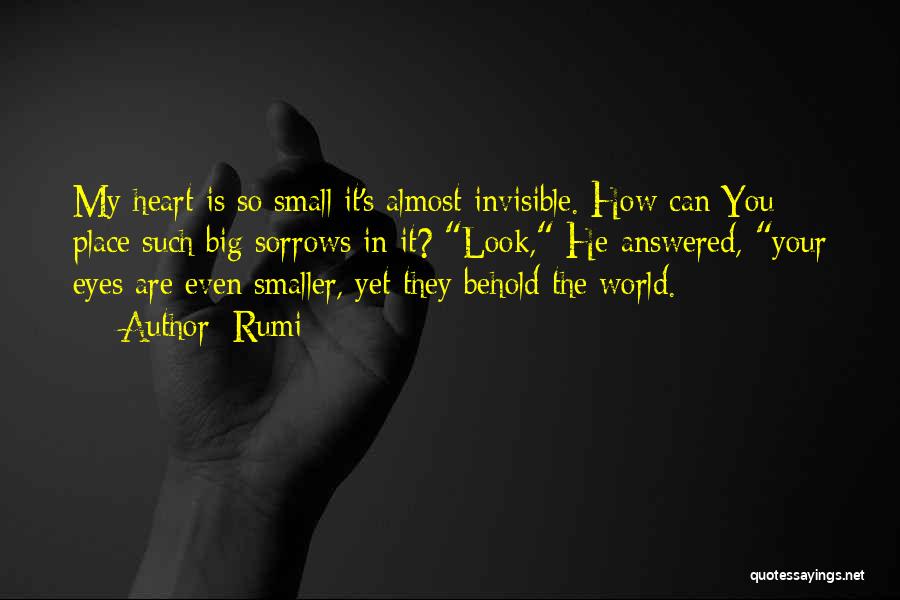 The World Is Such A Small Place Quotes By Rumi