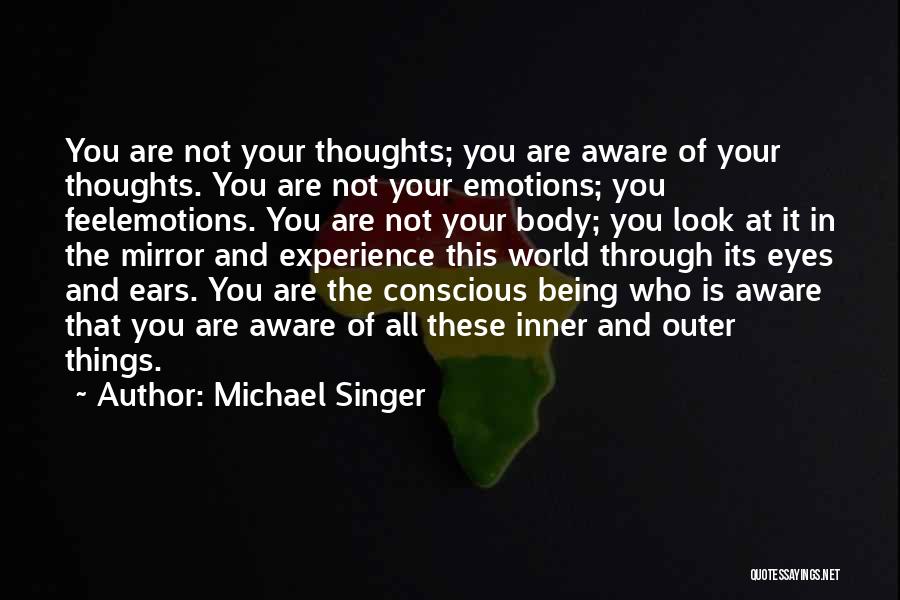 The World Is Your Mirror Quotes By Michael Singer