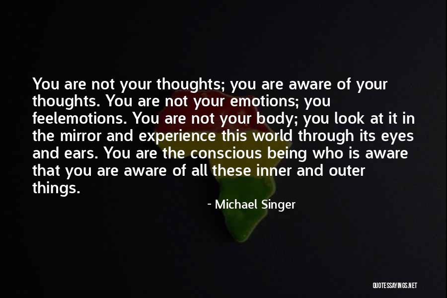 The World Is Your Mirror Quotes By Michael Singer