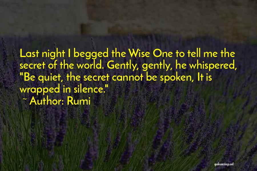 The World Last Night Quotes By Rumi