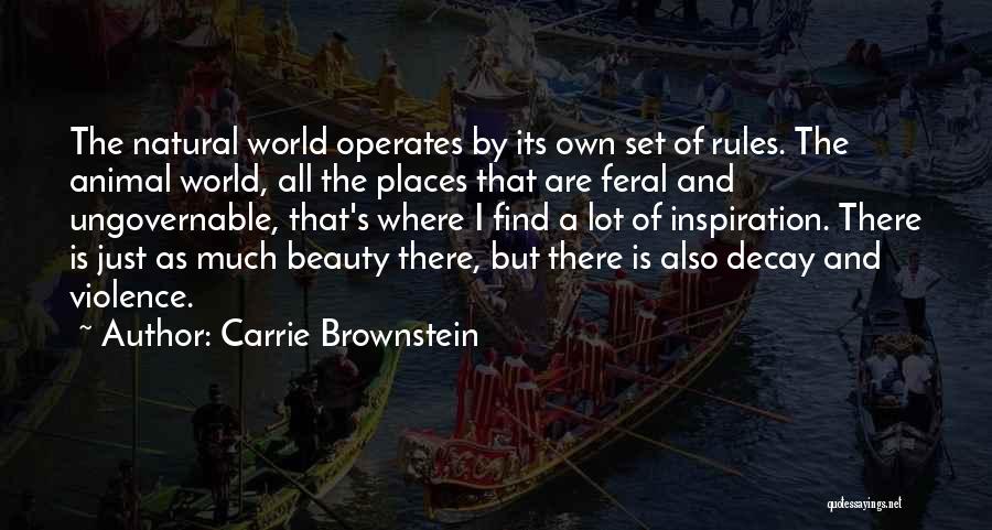 The World's Beauty Quotes By Carrie Brownstein