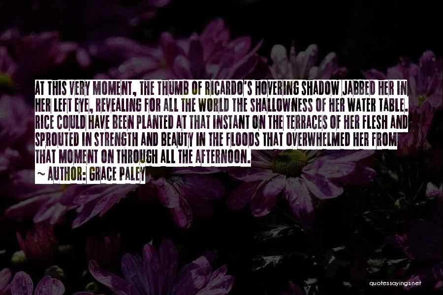 The World's Beauty Quotes By Grace Paley