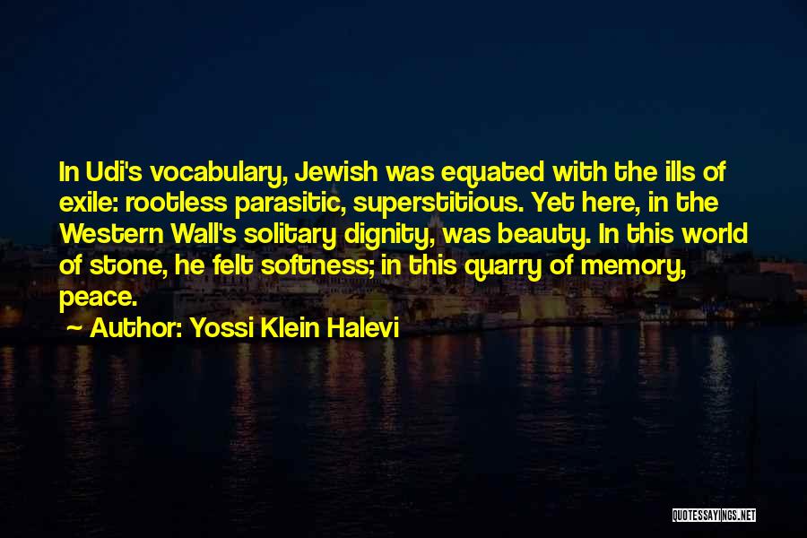 The World's Beauty Quotes By Yossi Klein Halevi