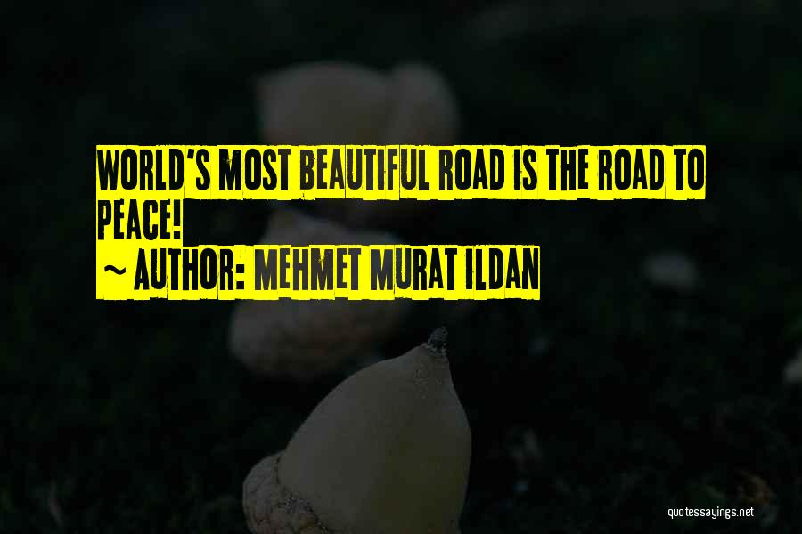 The World's Most Beautiful Quotes By Mehmet Murat Ildan