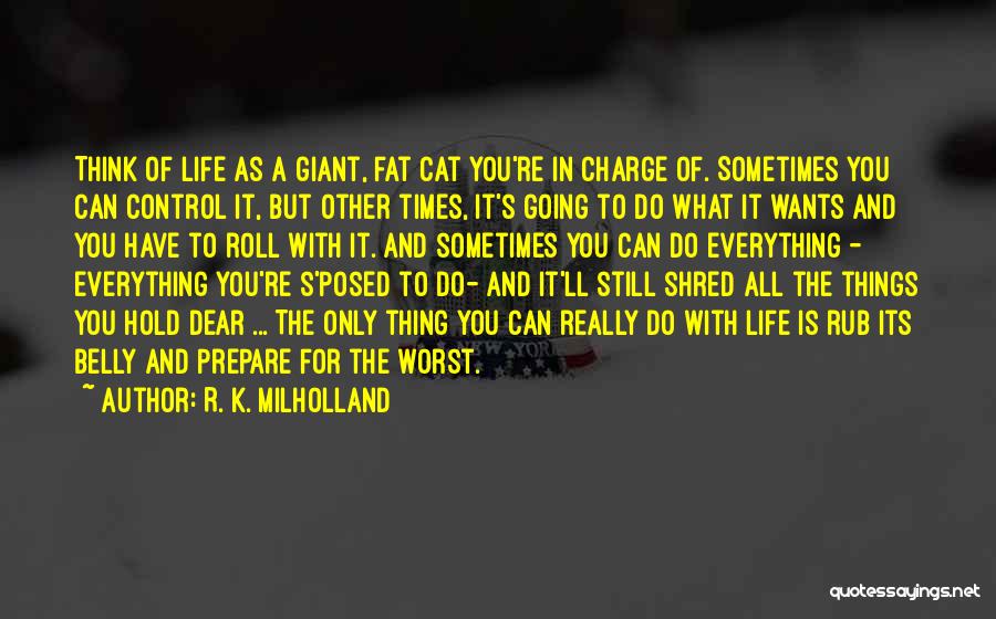 The Worst Thing You Can Do Quotes By R. K. Milholland