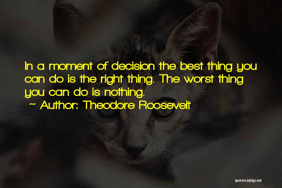 The Worst Thing You Can Do Quotes By Theodore Roosevelt