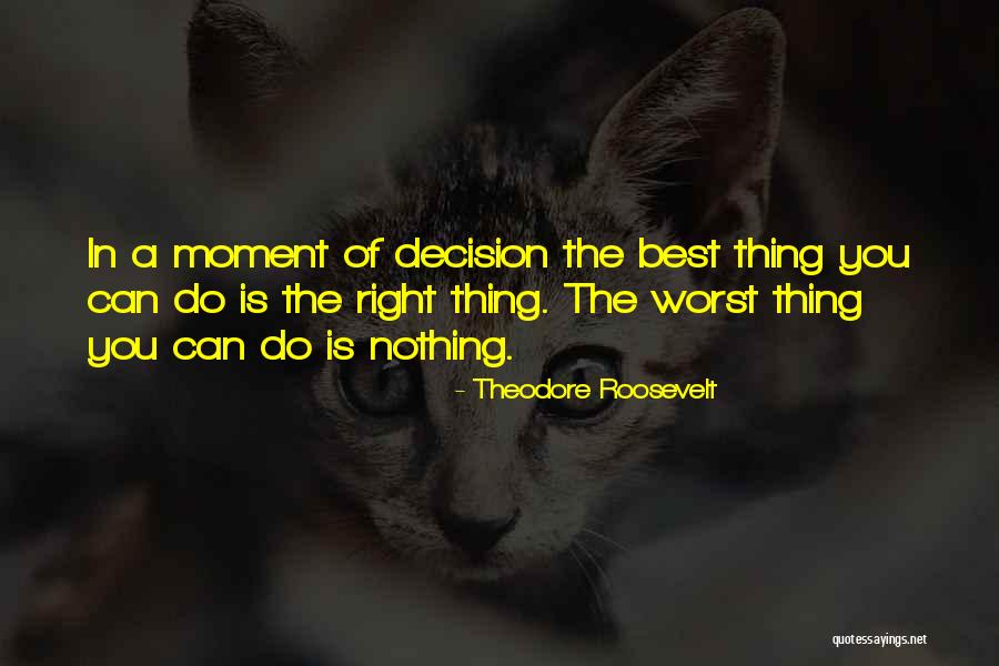 The Worst Thing You Can Do Quotes By Theodore Roosevelt