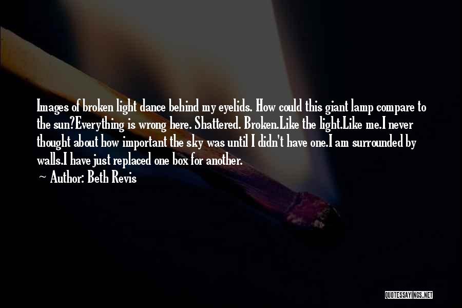 The Wrong Box Quotes By Beth Revis