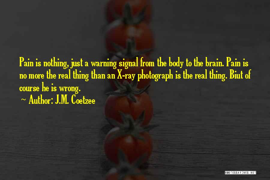 The X-ray Quotes By J.M. Coetzee