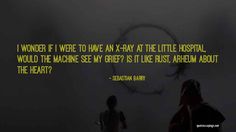 The X-ray Quotes By Sebastian Barry