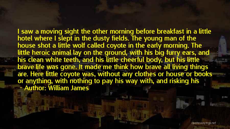 The Young Wolf Quotes By William James
