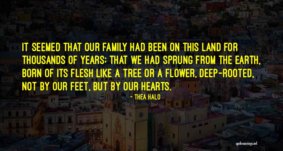 Thea Halo Quotes 819980 Thea Halo Quotes 819980