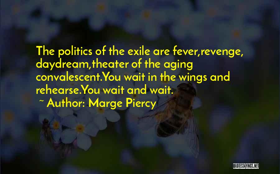 Theater And Politics Quotes By Marge Piercy