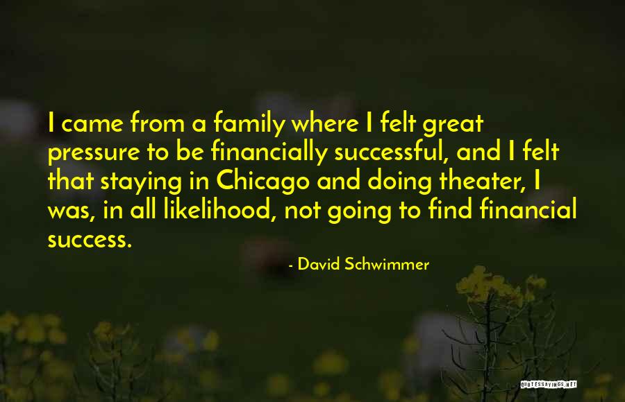 Theater Family Quotes By David Schwimmer