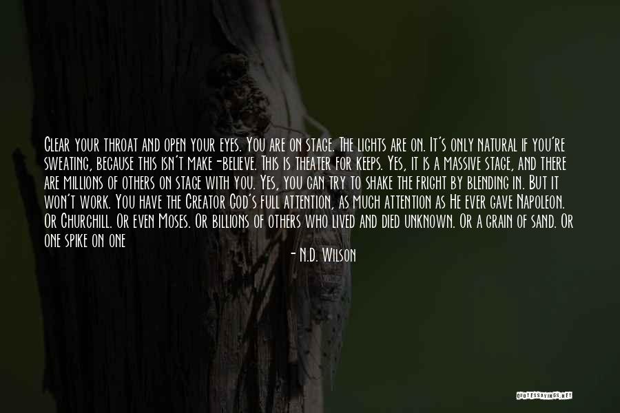 Theater Lights Quotes By N.D. Wilson Theater Lights Quotes By N.D. Wilson