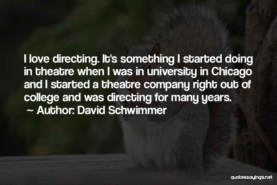 Theatre Directing Quotes By David Schwimmer