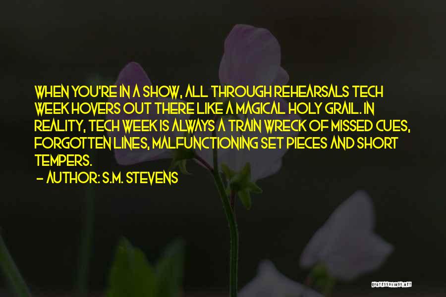 Theatre Tech Week Quotes By S.M. Stevens