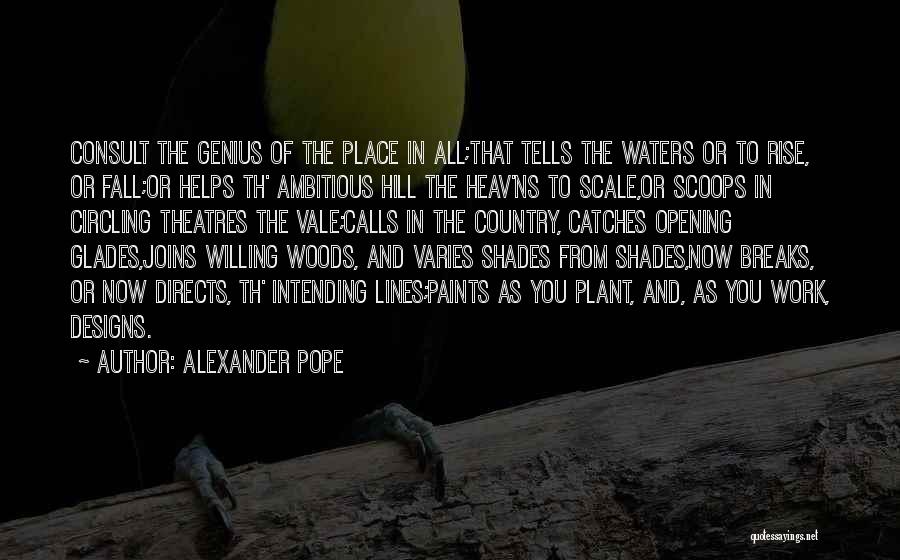 Theatres Quotes By Alexander Pope
