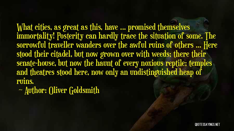 Theatres Quotes By Oliver Goldsmith