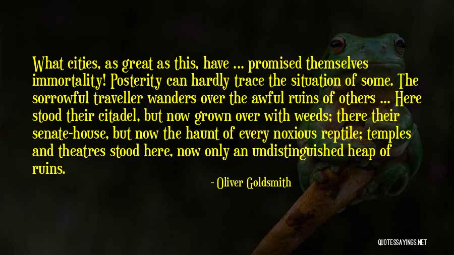 Theatres Quotes By Oliver Goldsmith