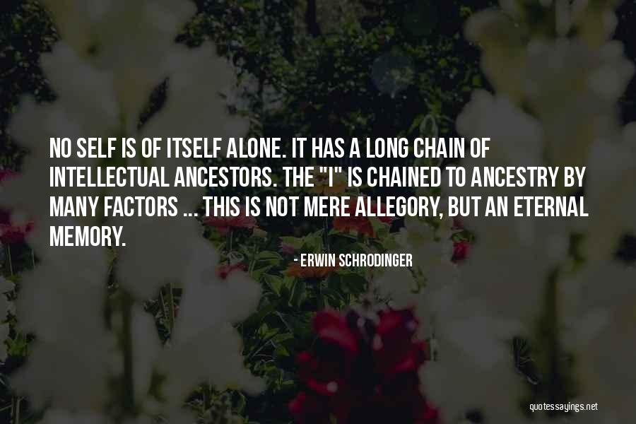 Theatricals Tap Quotes By Erwin Schrodinger Theatricals Tap Quotes By Erwin Schrodinger