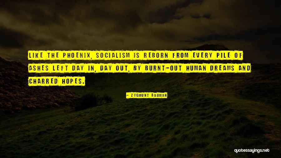 Thebargainer Quotes By Zygmunt Bauman Thebargainer Quotes By Zygmunt Bauman