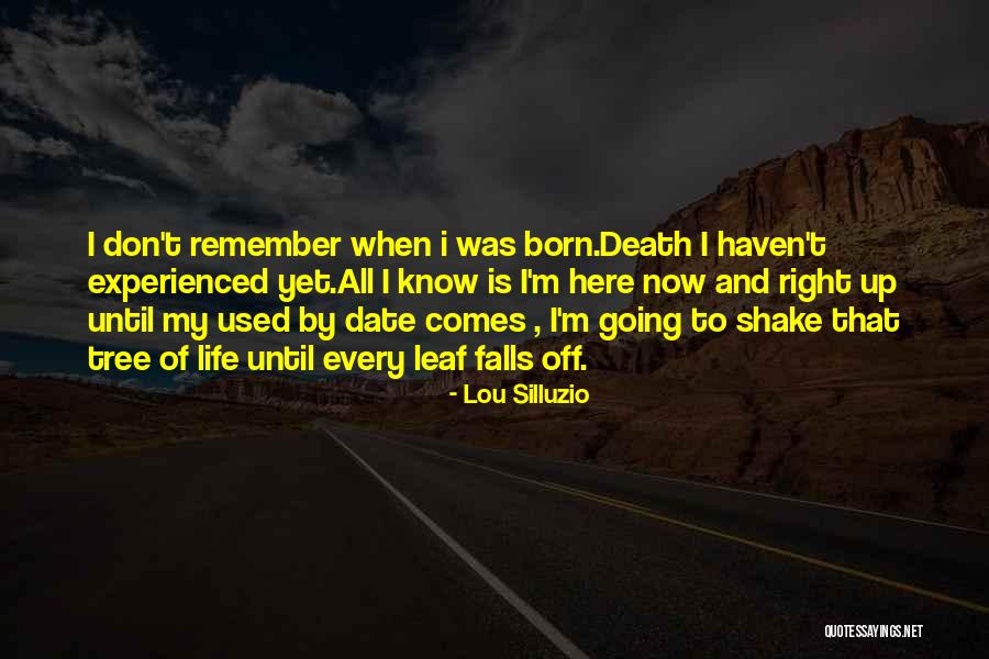 Thedy Yogasara Quotes By Lou Silluzio Thedy Yogasara Quotes By Lou Silluzio