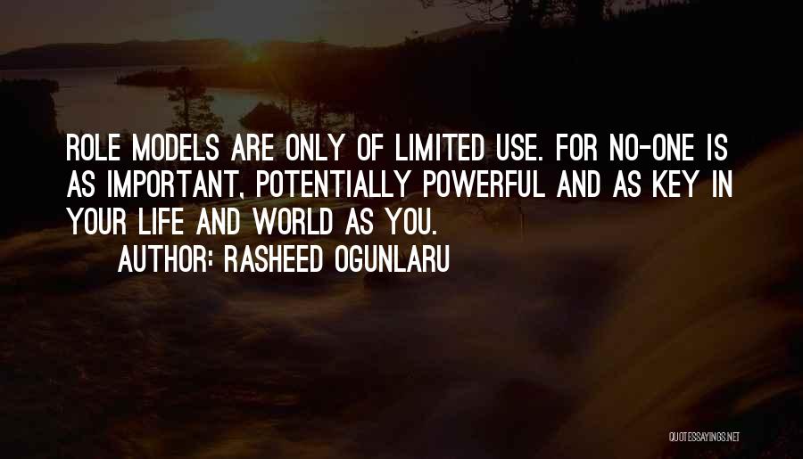 Theisens Website Quotes By Rasheed Ogunlaru