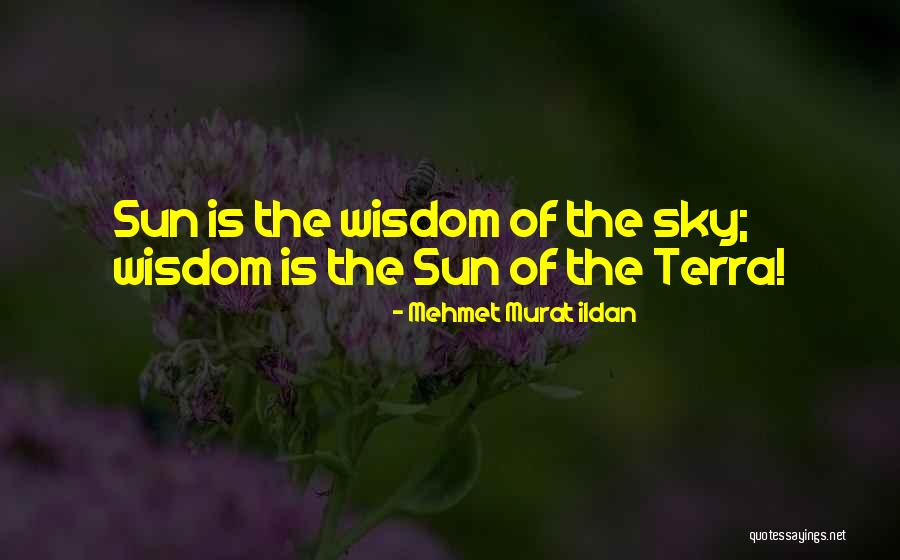 Theleme Quotes By Mehmet Murat Ildan Theleme Quotes By Mehmet Murat Ildan